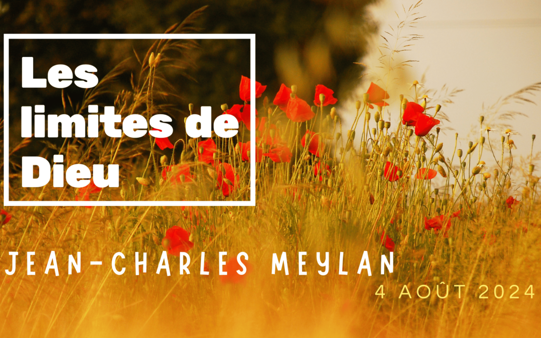 Les limites de Dieu – Jean-Charles Meylan