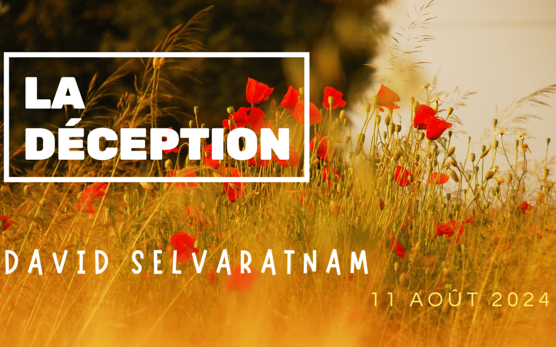 La déception – David Selvaratnam