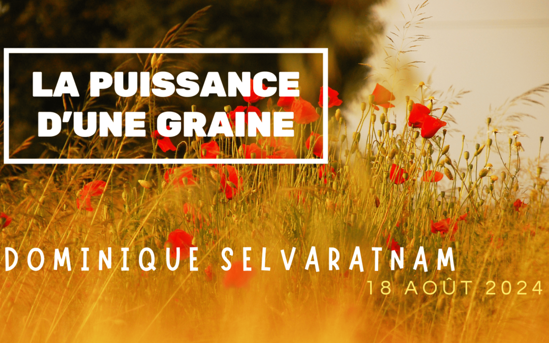 La puissance d’une graine – Dominique Selvaratnam