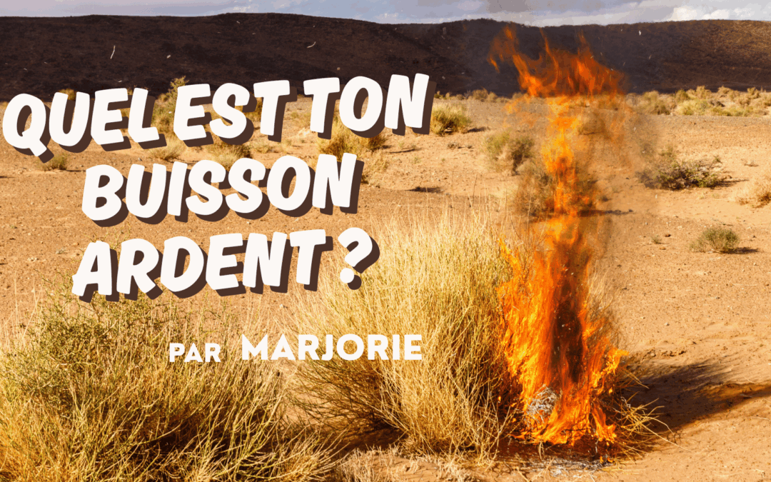 Quel est ton buisson ardent ?